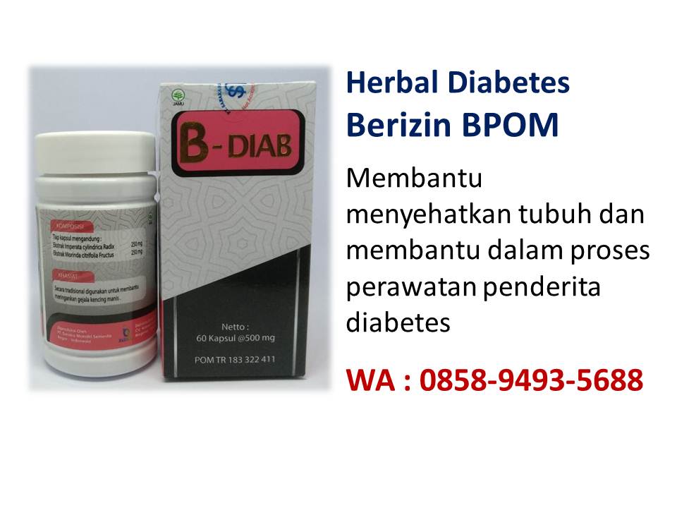 Obat diabetes B-Diab Indobio paling bagus WA : 0858-9493 ...